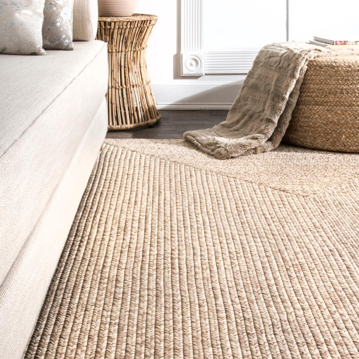 House of Hampton Bromsgrove Hand Braided Tan Indoor/Outdoor Rug